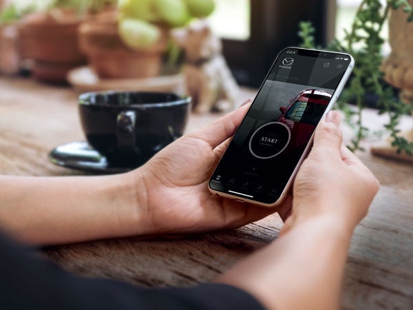 Mazda Lakeland in Lakeland FL